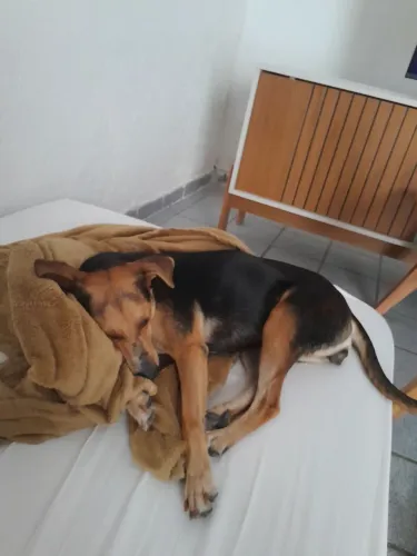 Doação de uma capelinha.