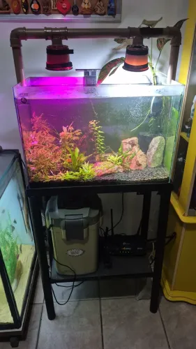 Aquário 72L com base em metal