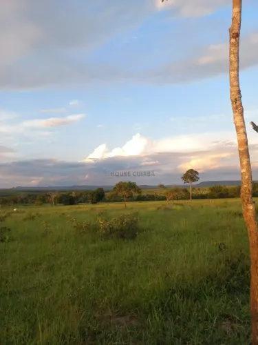 Vendo!!! fazenda à venda São Pedro da Cipa MT