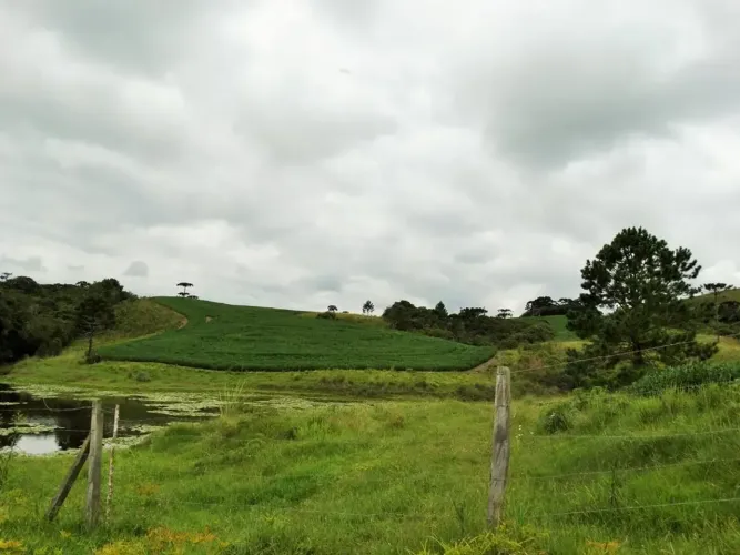 Fazenda 70ha ótima para plantio de grãos- Bom Retiro-SC