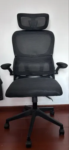 Cadeira Ergonômica de Escritório com Encosto em Mesh e Cabeceira - Ótimo Estado