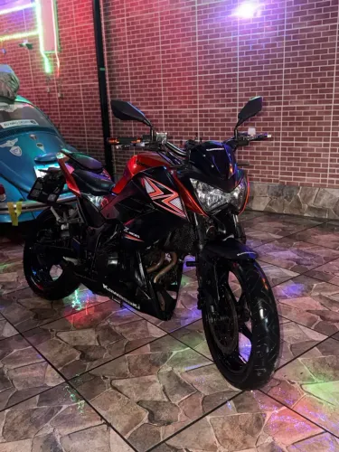Kawasaki Z 300 2016