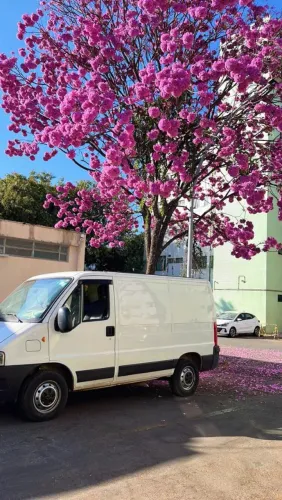 Fiat Ducato Cargo Curto 2.3 ME Diesel 2014