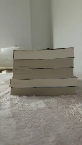 5 livros surpresa ( Raphael montes e Freida Mc Fadden)