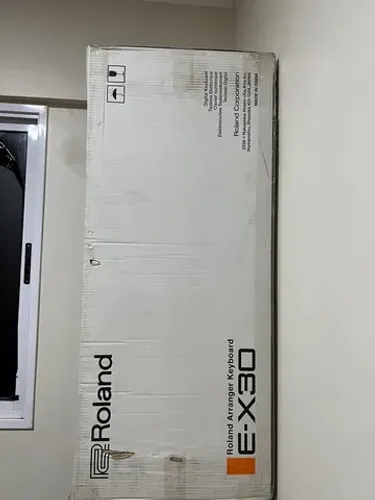 Ex30 Roland