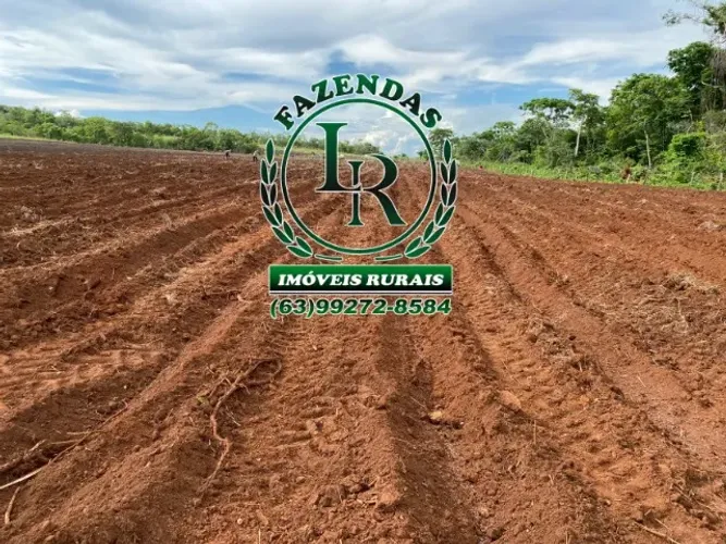 Chácara / Fazenda 13.5 Alqueires Próximo  a Palmas