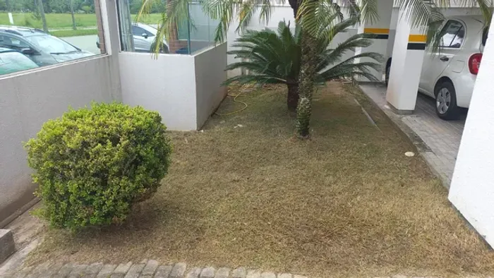 Jardinagem e podas de arvores 