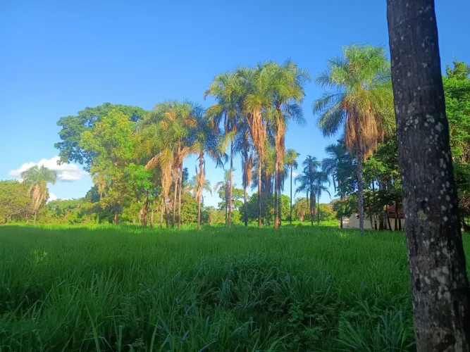Fazenda em santa vitória 