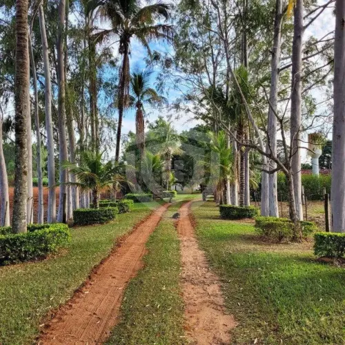 Sítio à venda | Área Rural | Fernão-SP