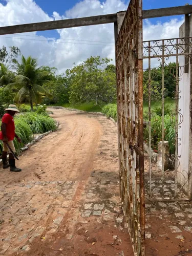 Área com 7 Hectares à Venda - Glória do Goitá-PE