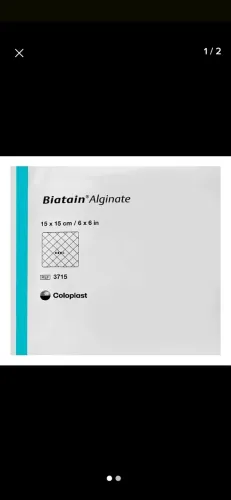 Biatain Alginate Ag 15x15cm 