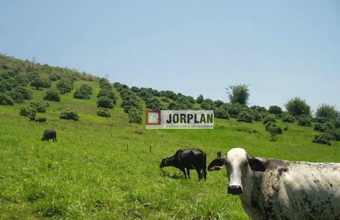 Fazenda com 2 dormitórios à venda, 480000 m² por R$ 2.350.000,00 - Santo Antonio - Carmo/R