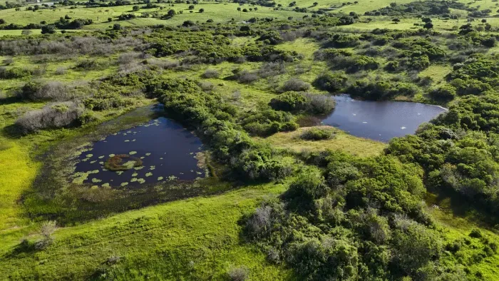 fazenda com 30 hectares na melhor região de Monte Alegre-RN