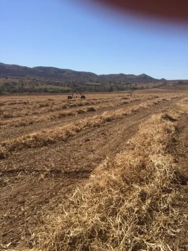 Fazenda investimento 19.000 ha
