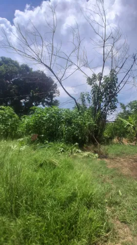 Terreno no KM 37 Lagoinha