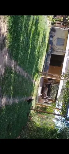 Chácara de Ótima oportunidade