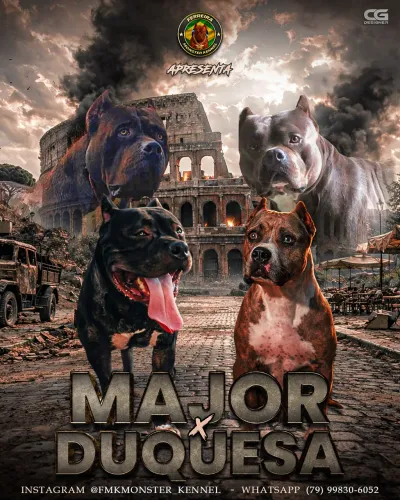 Seu melhor amigo está aqui!!!