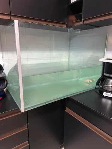 Aquário 350 litros 