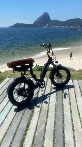 Lev Cruiser bike