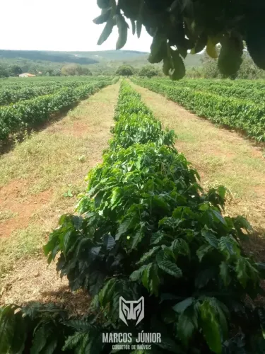 VENDO FAZENDA PARA PLANTIO DE CAFE EM GRAO MOGOL NORTE DE MINAS COM PLANTIO E NEGOCIA PRAZ