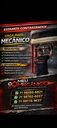 MECÂNICO AUTOMOTIVO