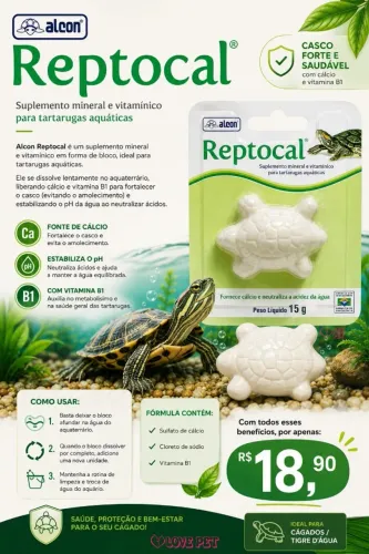 oprotunidade