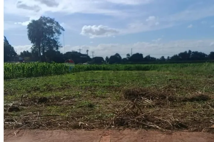 Terreno à venda em Vila Nova - Toledo