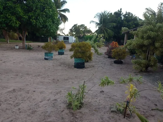 Granja/sítio/fazenda em monte Alegre com 28.000 metros quadrados. Casa. Poço. Curral