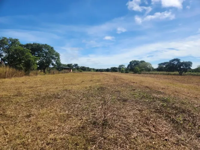 Fazenda a venda em Cocalinho - Mato Grosso