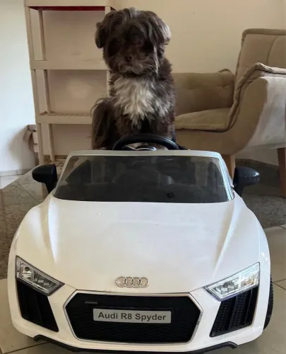 VENDO: Mini Carro Elétrico Audi R8 Spyder Branco - R$ 1.300,90 (aberto a negociações).