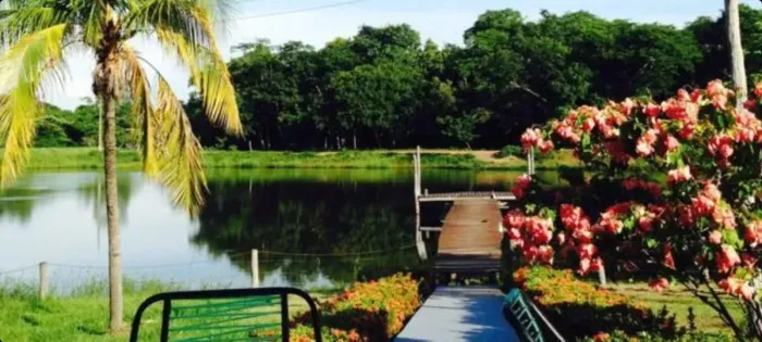 Fazenda - Cáceres MT
