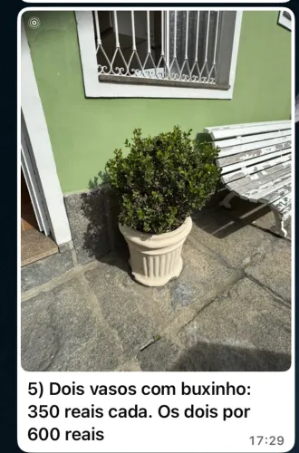 Lindas plantas para seu lar