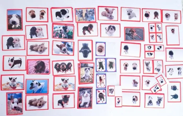 lote figurinhas importadas pets narigones hana deka salo