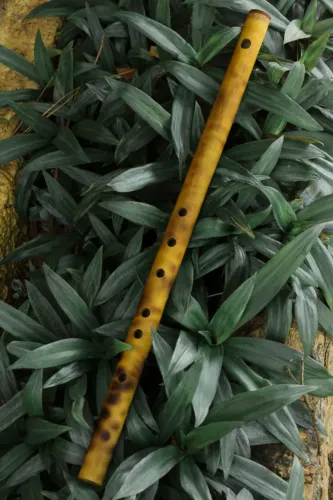 Flauta Tipo Bansuri, Tom Bb, Bambu flambado e lixado - SoproZen