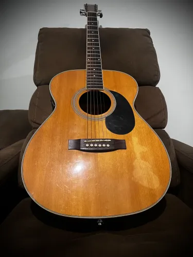 Violão Tagima Montana