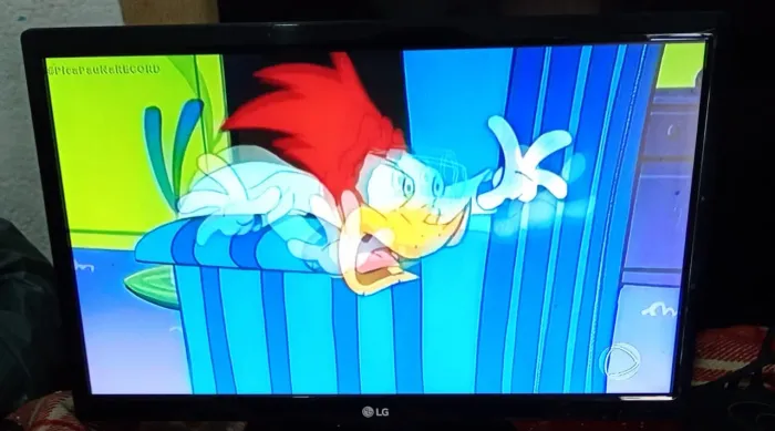 Televisão