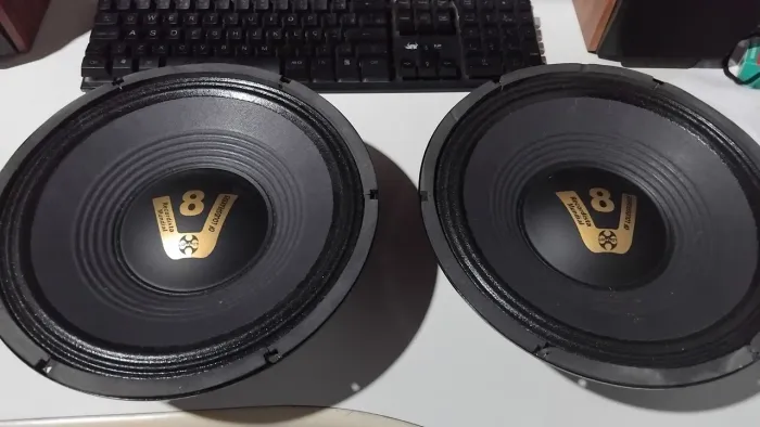 Vendo Troco 2x Auto Falante Médio Grave Compet 10 Polegadas'' 200w RMS x 8 Ohms