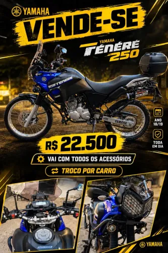 Vendo tenere