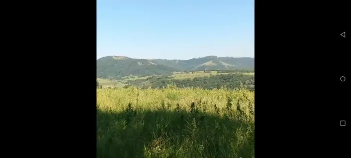 Sítio 12 Alqueires, Bom de Água, Córrego e Nascente Dentro da Propriedade, Casa Simples, L