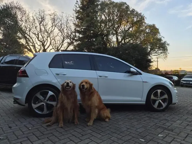 Volkswagen Golf GTI 2.0 TSI 220cv Aut. 2017