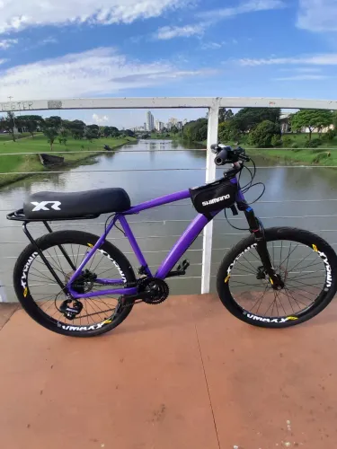 BICICLETA RAIO 26