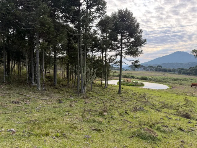 Sítio em Urubici - R$ 53.700 + 60 X 2.787,00