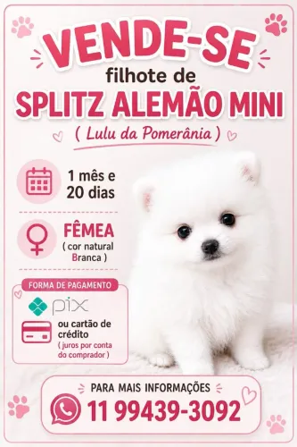 Animais