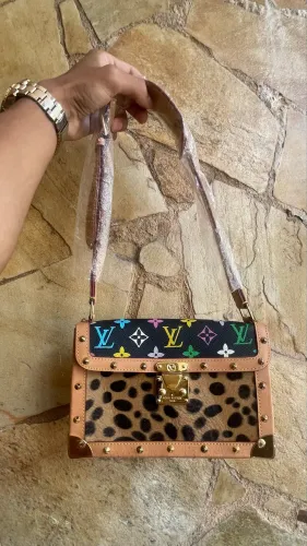 Louis Vuitton Multicolore Dalmatian