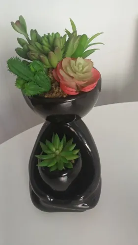 Vaso Bob em cerâmica com 5 Suculentas permanentes 