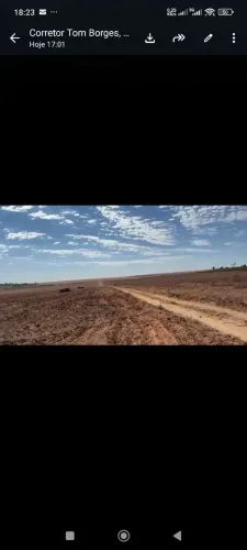 Fazenda de arrendamento 2.200 hec gaucha do norte MT. 1 ano carência