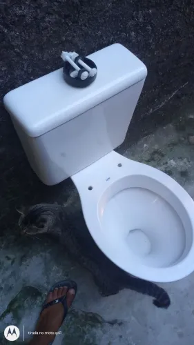 Aparelho sanitário acoplado 