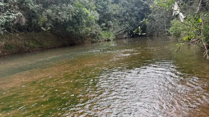 Chácara com 2.200mt com rio passa 4no fundo há 80km de Goiânia!