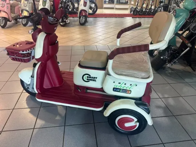 Triciclo Elétrico 650W | Até 25km de Autonomia | Suporta 120kg | Econômico