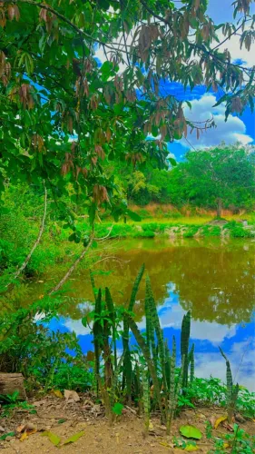 Área de 24.700 m² em Vila de Cava (Tinguá) - Nova Iguaçu R$ 1.900.000